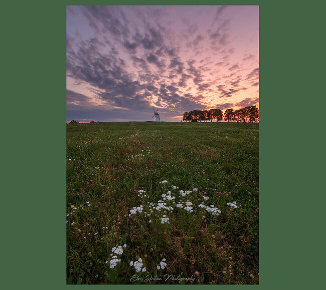 Элвис Антсон Фотограф. Усадьба Вихула.