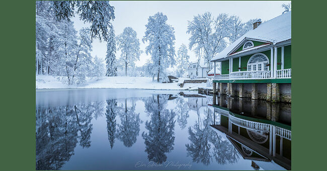 Элвис Антсон Фотограф. Мыза Палмсе.