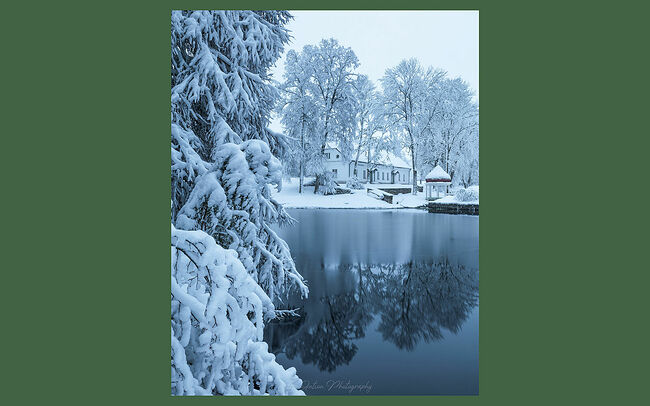 Элвис Антсон Фотограф. Мыза Палмсе.