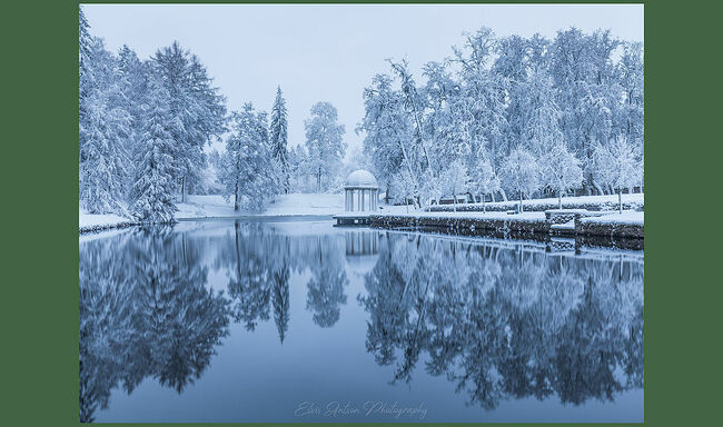 Элвис Антсон Фотограф. Мыза Палмсе.