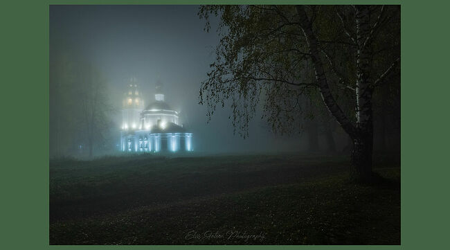 Элвис Антсон Фотограф. Плёс.
