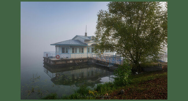 Элвис Антсон Фотограф. Плёс.