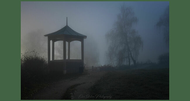 Элвис Антсон Фотограф. Плёс.