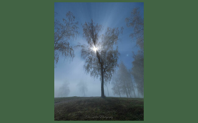 Элвис Антсон Фотограф. Плёс.