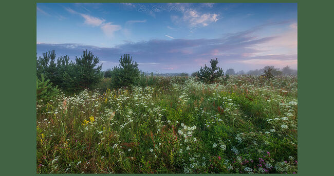 Элвис Антсон Фотограф. Пейзажи Кологрива.
