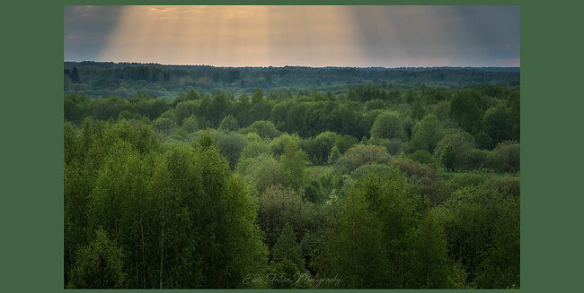 Элвис Антсон Фотограф. Пейзажи Кологрива.