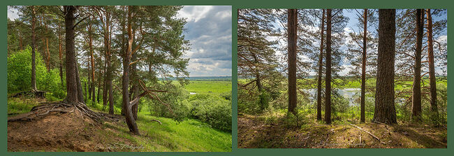 Элвис Антсон Фотограф. Пейзажи Кологрива.
