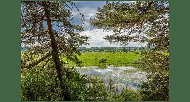 Элвис Антсон Фотограф. Пейзажи Кологрива.