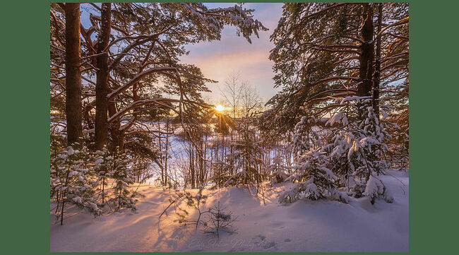 Элвис Антсон Фотограф. Пейзажи Кологрива.