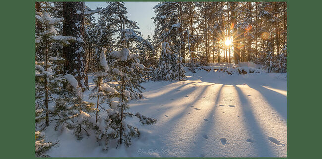 Элвис Антсон Фотограф. Пейзажи Кологрива.