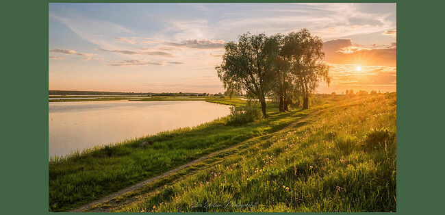 Элвис Антсон Фотограф. Кострома.
