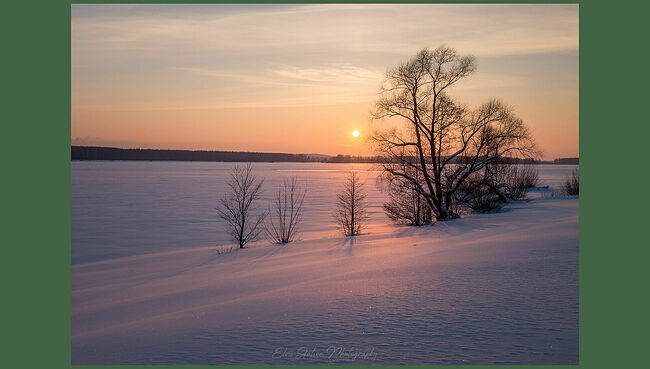 Элвис Антсон Фотограф. Кострома.