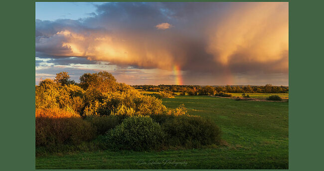 Элвис Антсон Фотограф. Кострома.