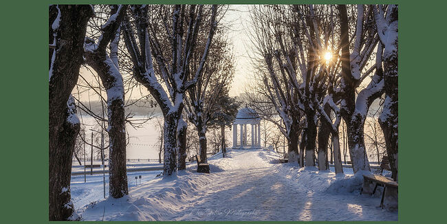 Элвис Антсон Фотограф. Кострома.