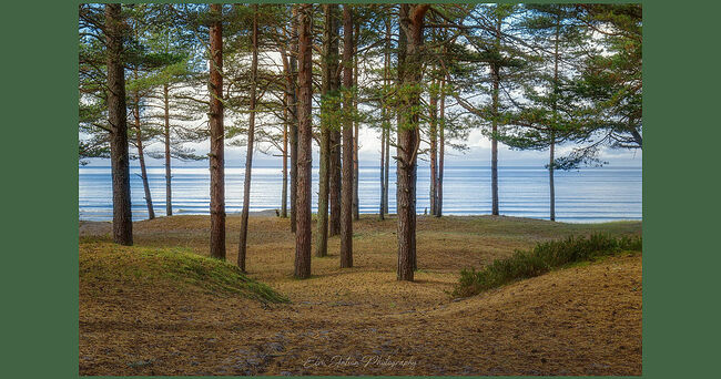 Элвис Антсон Фотограф. От Балтийского моря глаз не отвести.