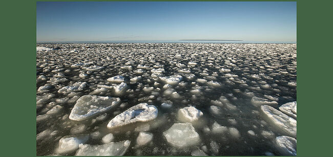 Элвис Антсон Фотограф. От Балтийского моря глаз не отвести.