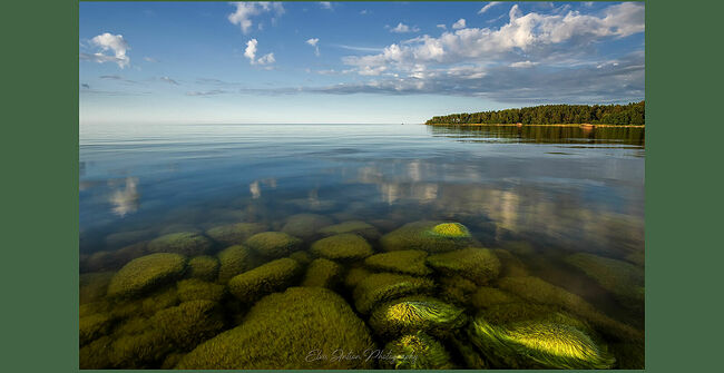 Элвис Антсон Фотограф. От Балтийского моря глаз не отвести.