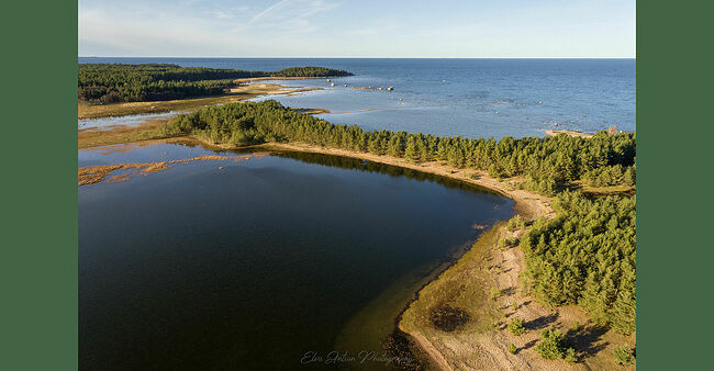 Элвис Антсон Фотограф. От Балтийского моря глаз не отвести.