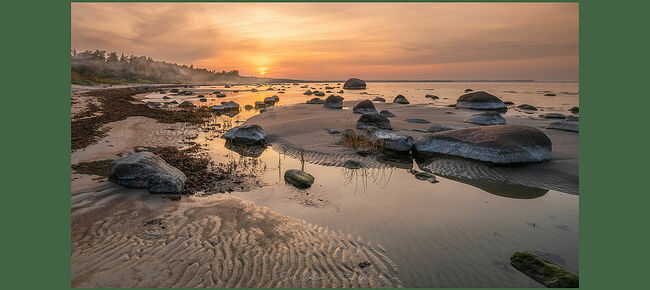 Элвис Антсон Фотограф. От Балтийского моря глаз не отвести.