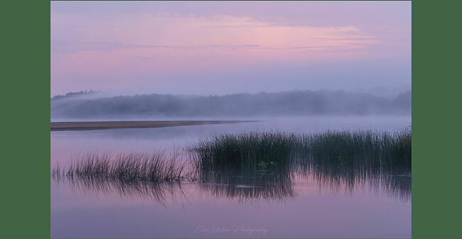 Элвис Антсон Фотограф. Кологрив стоял «около грив», то есть около высоких мест..