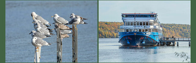 Элвис Антсон Фотограф. Золотая осень в Плёсе.