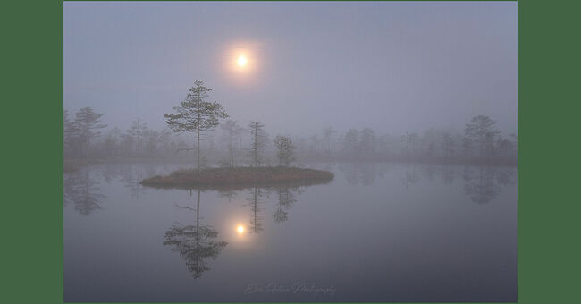 Элвис Антсон Фотограф. Очарование лесных болот.