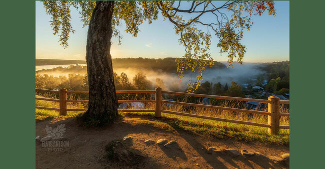 Элвис Антсон Фотограф. Золотая осень в Плёсе.