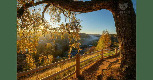 Элвис Антсон Фотограф. Золотая осень в Плёсе. Берёза к солнцу руки протянула. Осенняя соната. Атмосферное утро в Плёсе. Осень в Плёсе восхитительна, она создаёт особую атмосферу в этом милом городе. Каждый уголок здесь уютный, уезжать из Плёса не хочется. А какие замечательные левитановские виды открываются взору. Хочется взлететь птицей и парить над вечным покоем.