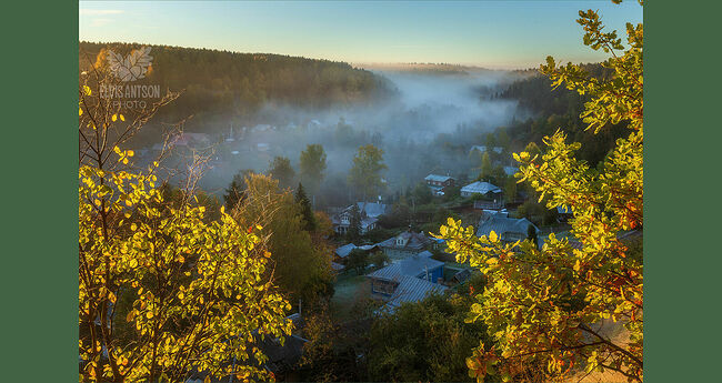 Элвис Антсон Фотограф. Золотая осень в Плёсе.
