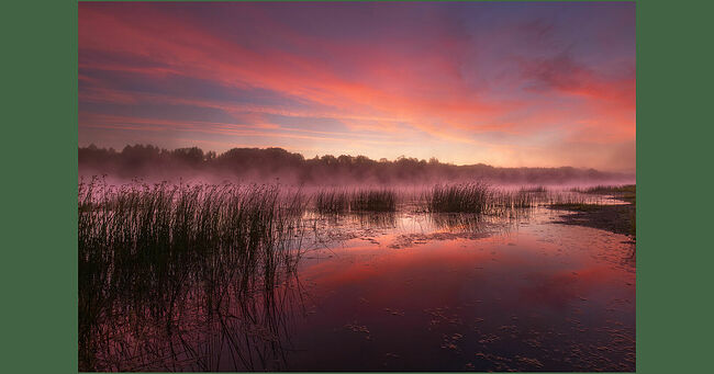 Рассветы в Кологриве - волшебное зрелище. Над Унжей стелются туманы, создавая мистическую атмосферу. Первые лучи восходящего солнца окрашивают небо в яркие оттенки розового и оранжевого, отражаясь в водной глади. Умиротворение этих мест позволяет полностью погрузиться в созерцание первозданной природы, забыв о городской суете.