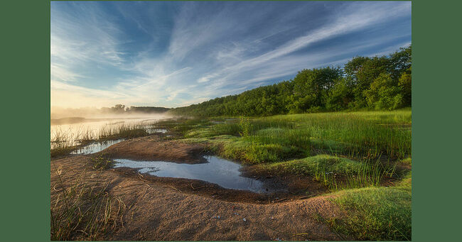 Угодья куликов-сорок. На переднем плане видны следы их пиршества.