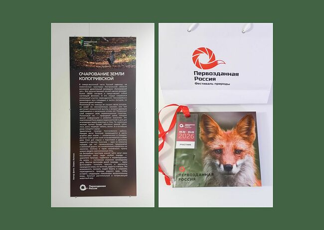 Фотоальбом "Первозданная Россия" за 2026 год, где есть и моя работа. Вписать частичку своего труда в такую "Летопись природы" - это бесценно!